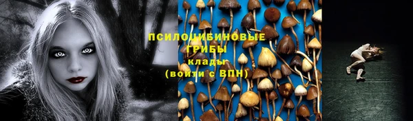стаф Абаза
