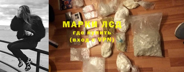 стаф Алексин