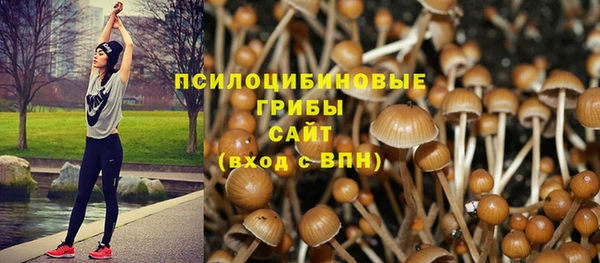 стаф Алексин