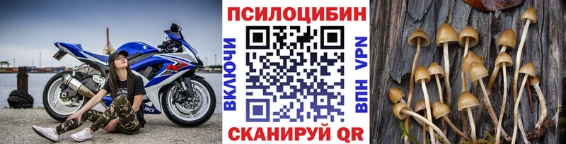 Галлюциногенные грибы Cubensis  наркота  Добрянка 